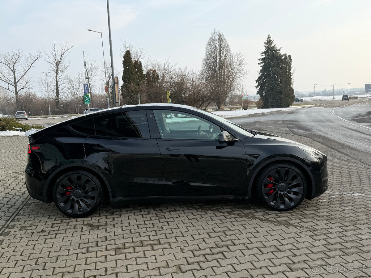 Tesla Model Y DUAL MOTOR 4x4 PERFORMANCE - 8