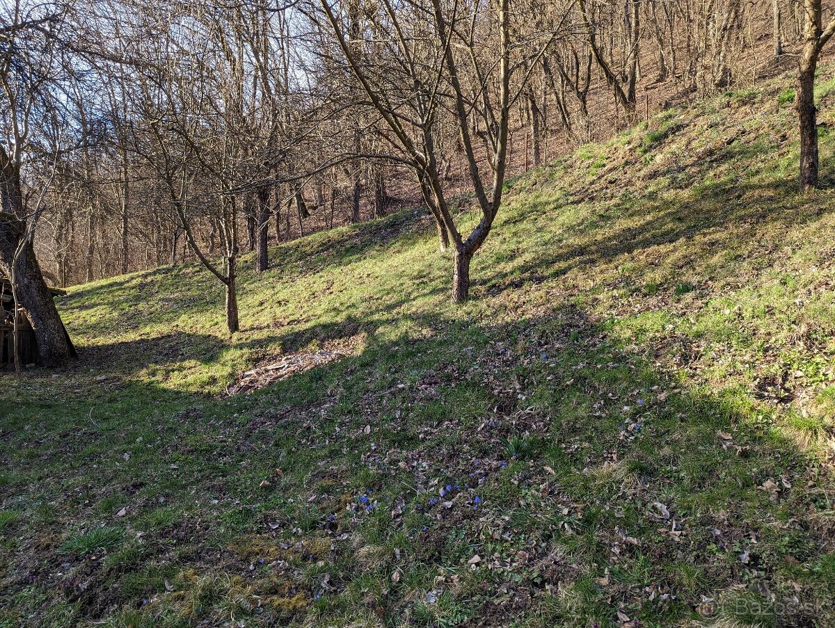 Predám dom Bzenica - 8