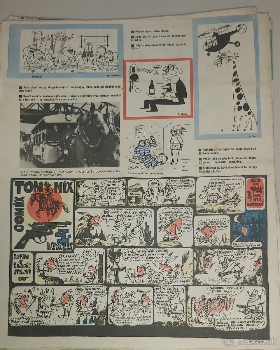 DIKOBRAZ - ROČNÍK 1964 - 8