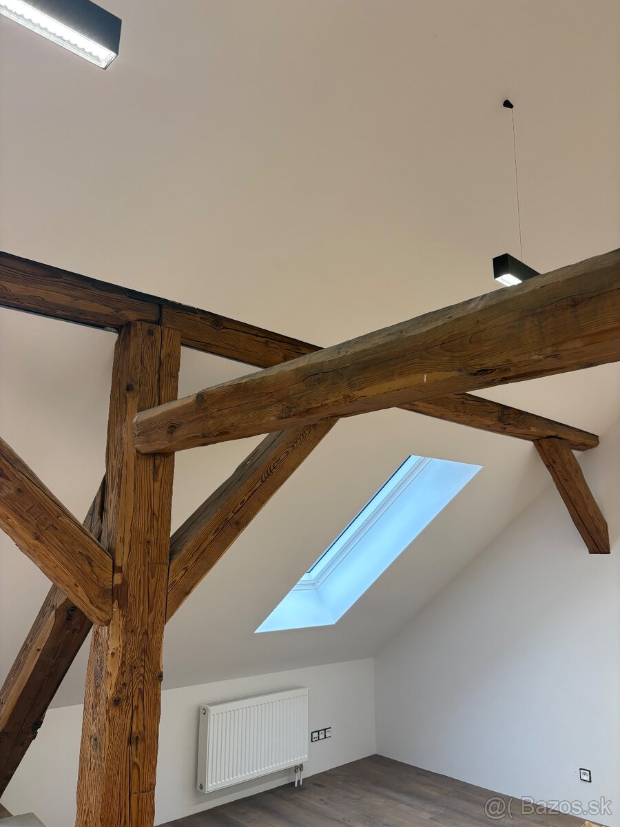 PRENÁJOM- PRIESTORY NITRA VILA NA ČÍNEŠI CENTRUM - 8