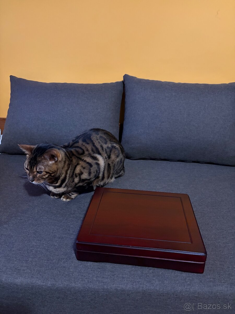 Zlate mince (7 divov sveta). - 8