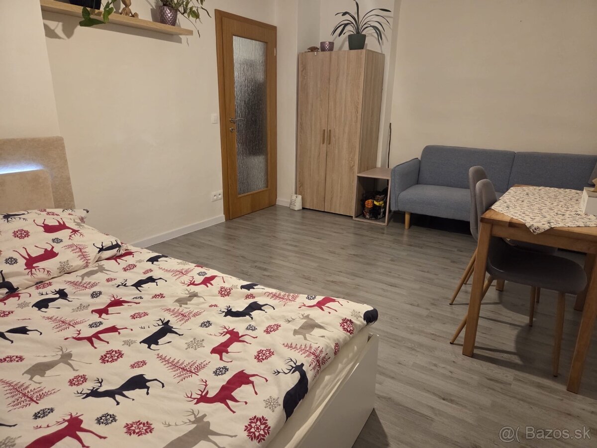 1 – IZBOVÝ BYT V JANOVEJ LEHOTE - 8