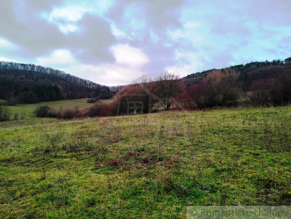 Väčší pozemok s možnosťou výstavby rekreačnej nehnuteľnos - 8