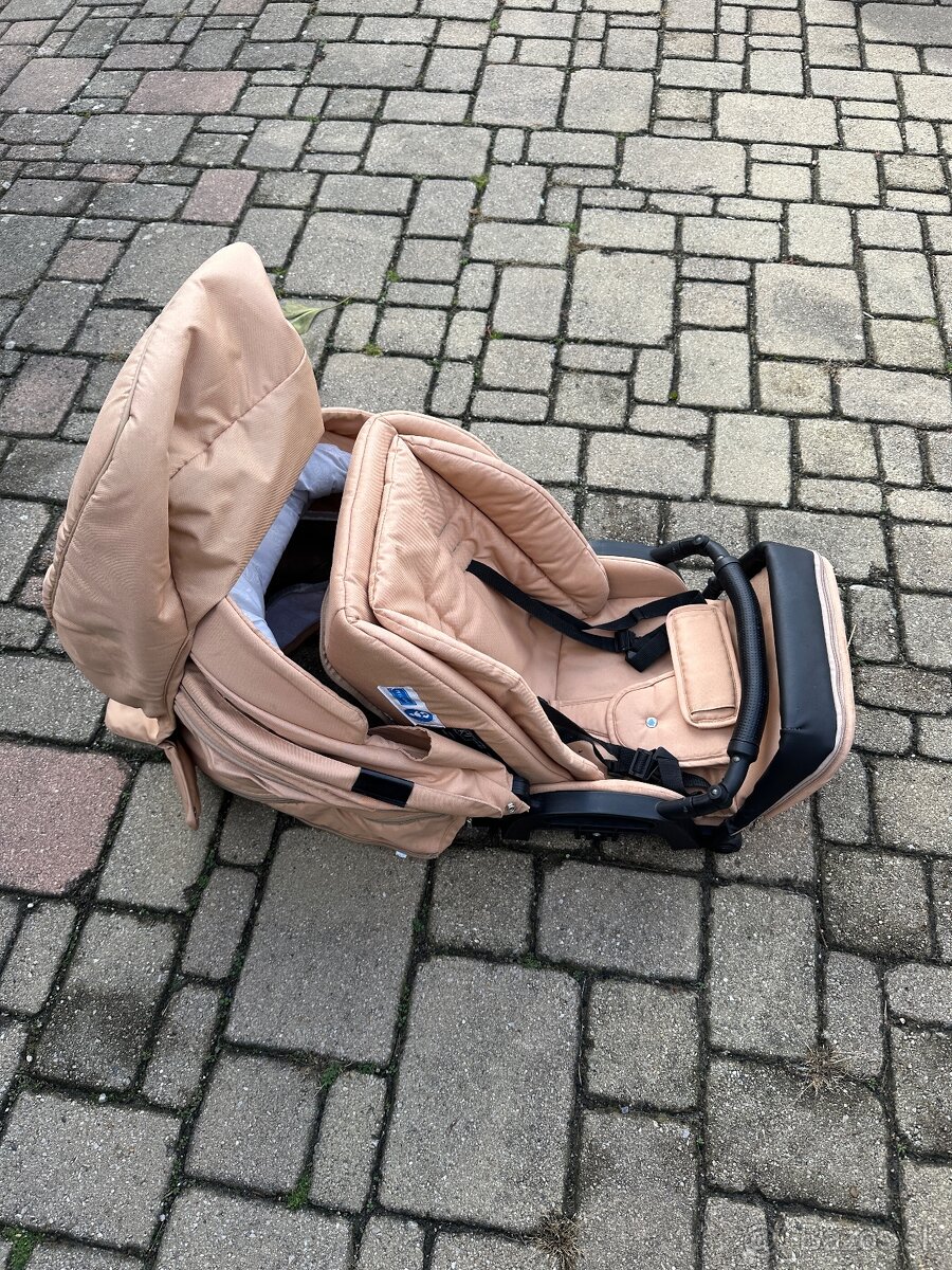 Kočiar coletto dante - 8