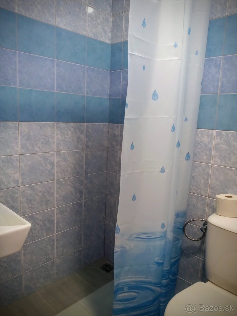 1-izbové ubytovanie Nováky vlastné sociálne zázemie - 8