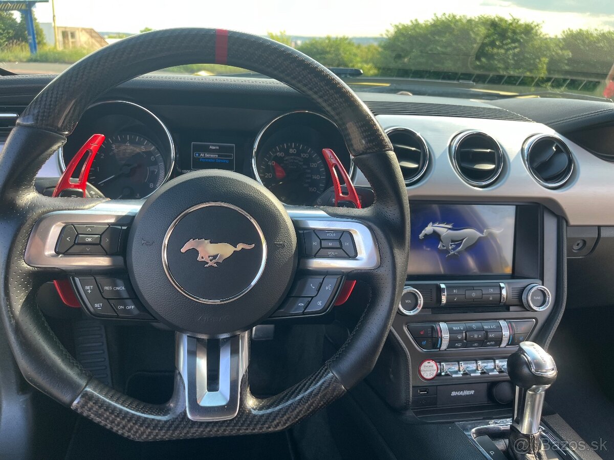 Mustang - 8
