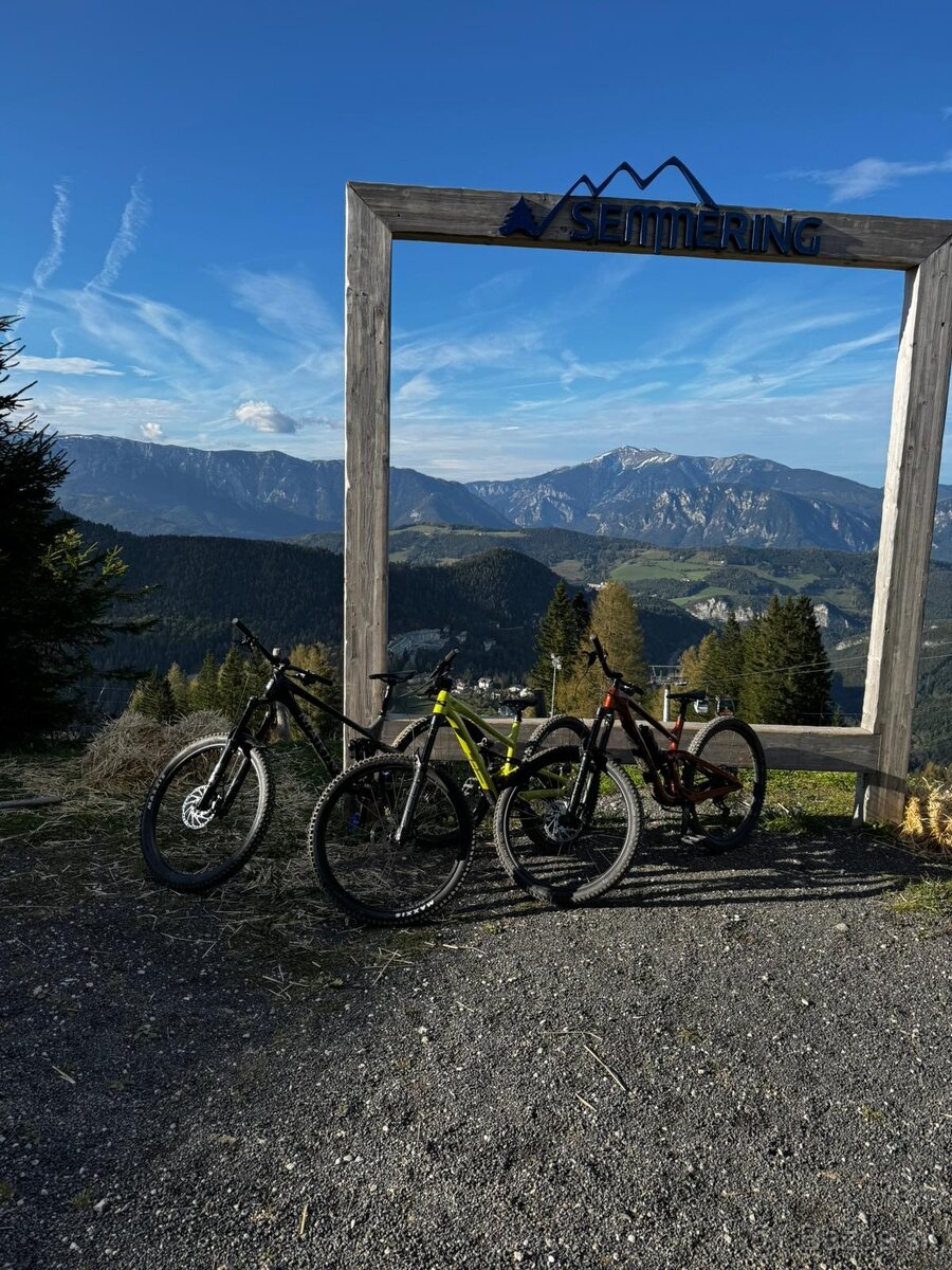 Marin Alpine Trail 2 carbon - 8