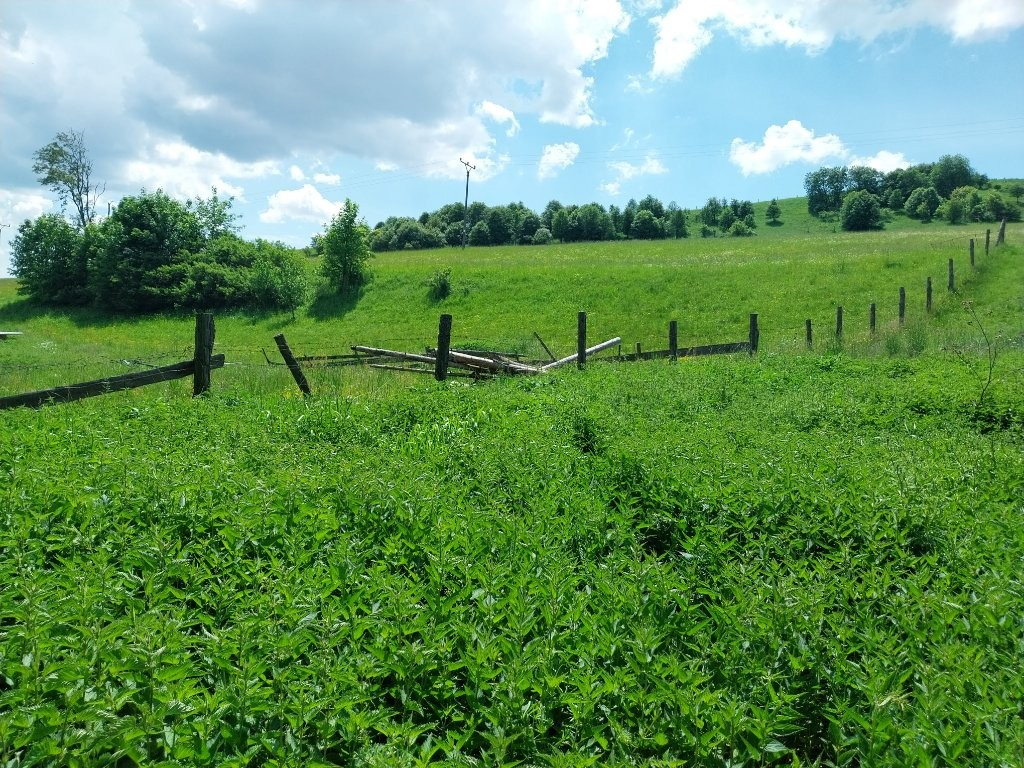 Predám pozemky v katastri Vojňany - 8