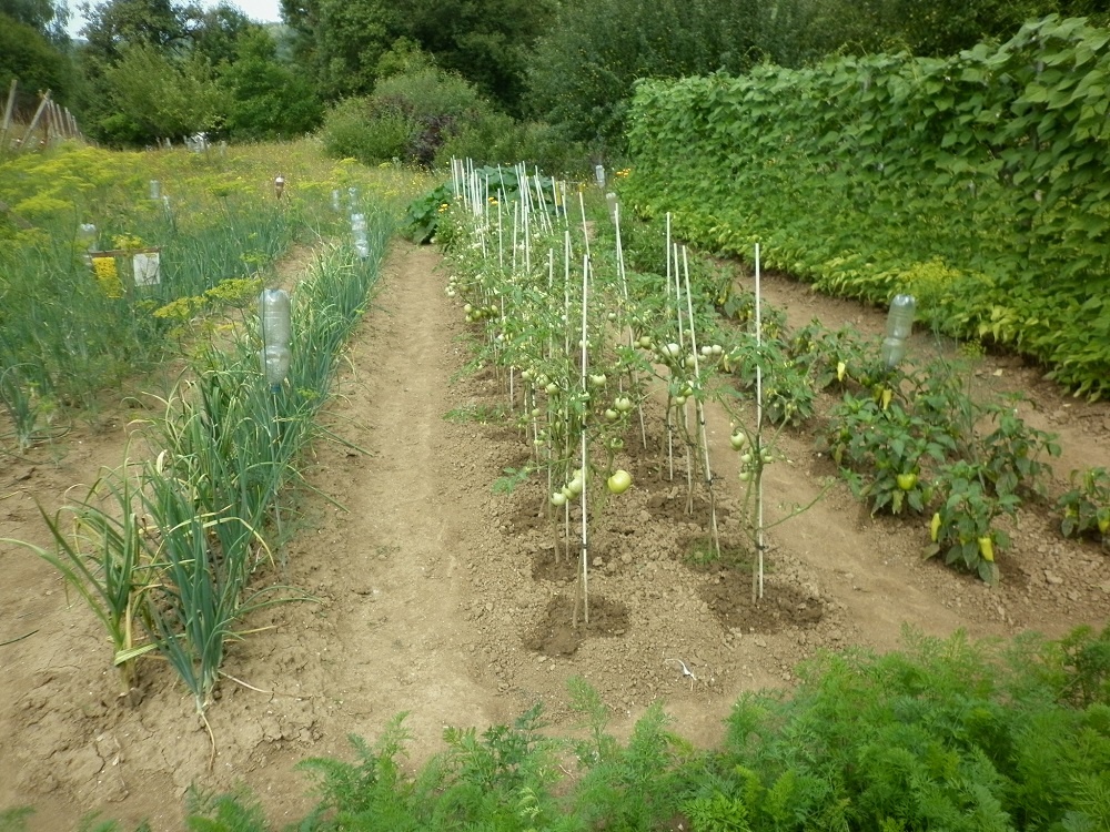 Nižne Raslavice časť Mlyn - 8