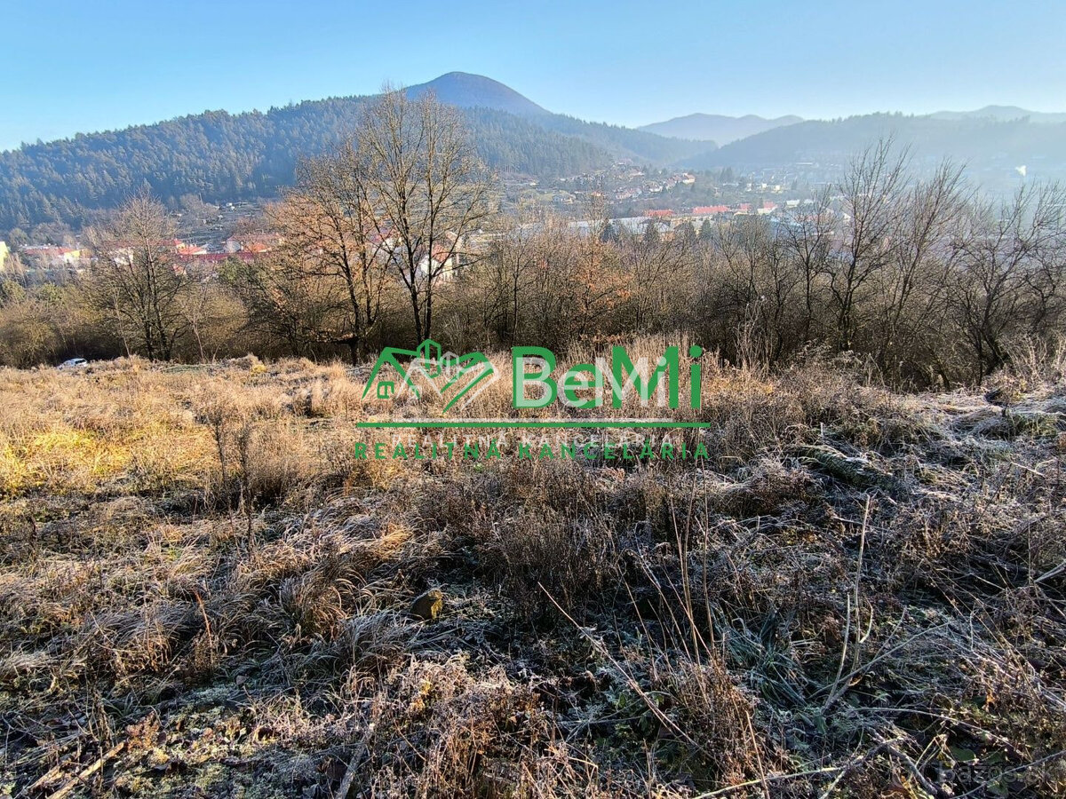 Pozemok Považská Bystrica, 3129m2 146-14-PEMOa - 8