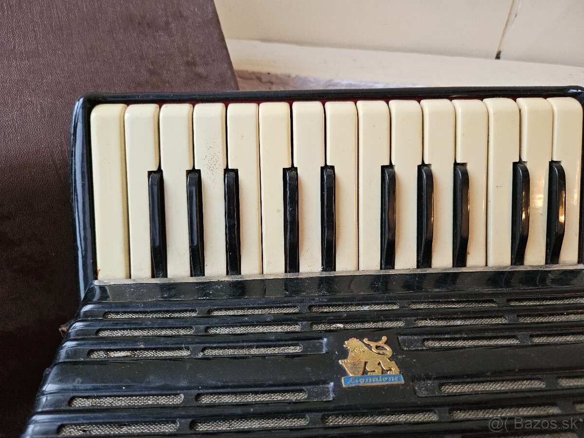 Heligonka / harmonika - 8