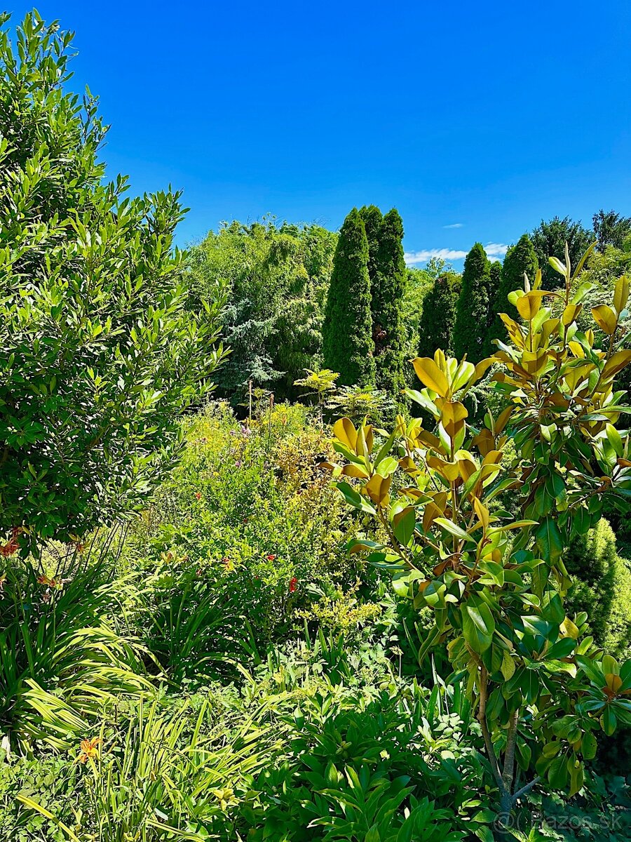 7-izb. Rodinný dom s bazénom na pozemku 5.100 m2 - 8