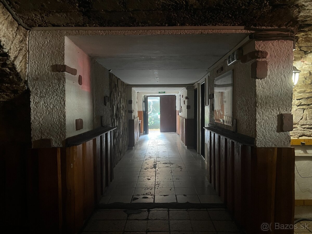 Priestor na prenájom – bývalá Piváreň (260 m²) - 8