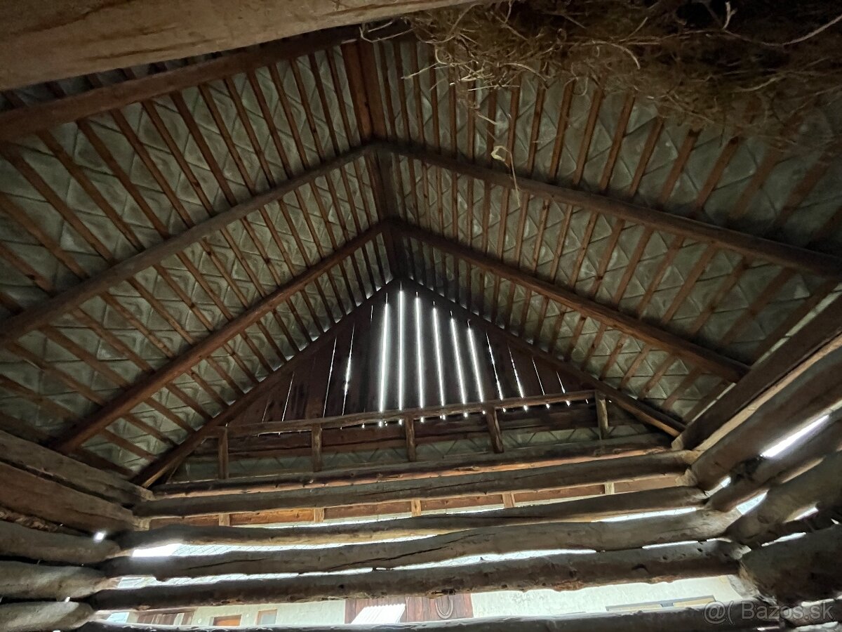 Stare drevo na predaj - 8