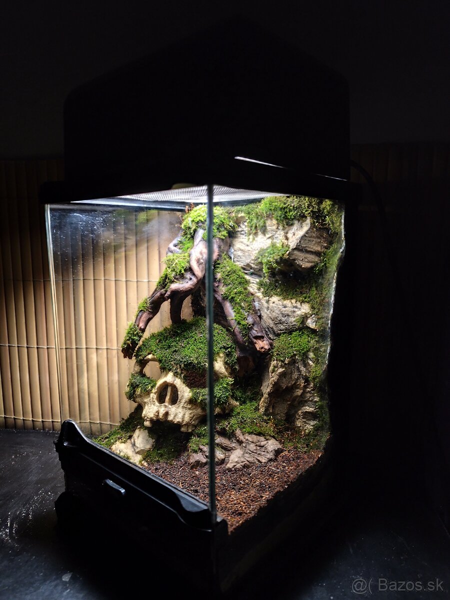 Terarium Exo terra - 8