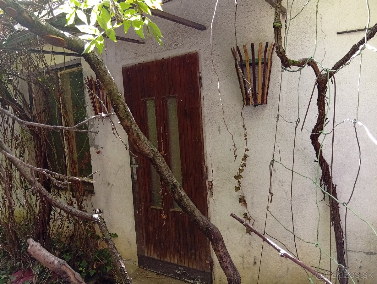 3-i dom + letná kuchyňa, 1000 m² pozemok, centum Leopoldov - 8