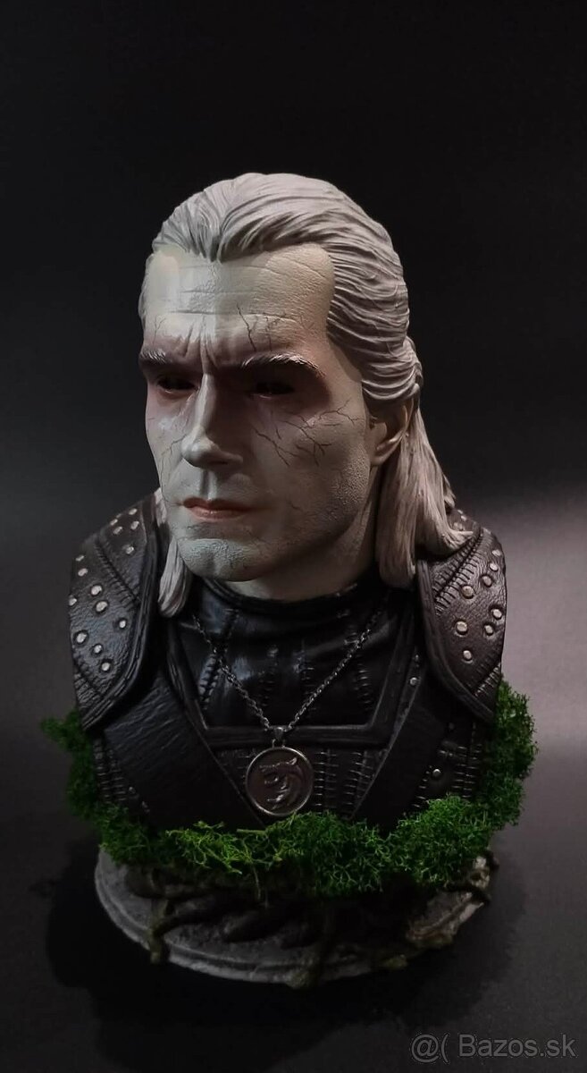 The Witcher/Zaklínač - 8