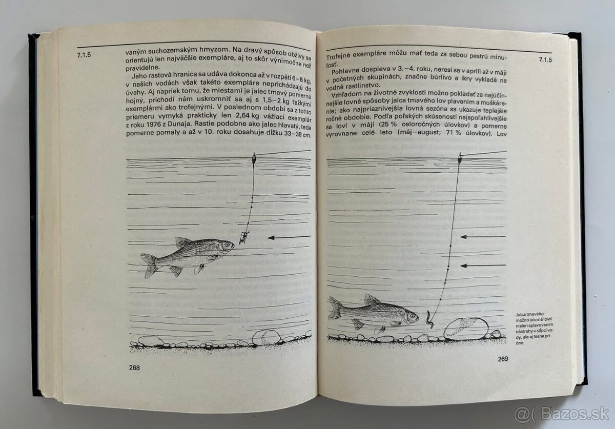 RYBÁRSTVO / RYBÁRENIE - 8