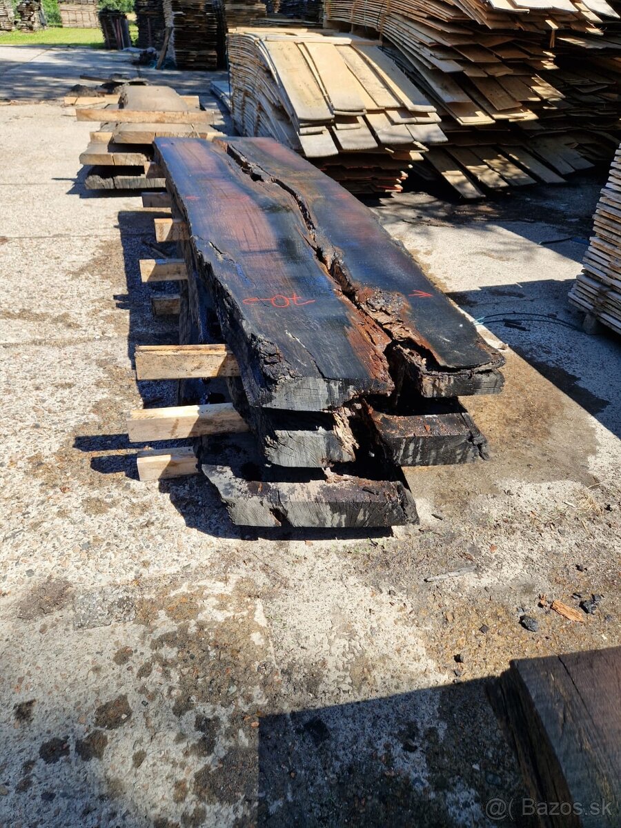 Dub bahenny, mooreiche, dub subfosilny - 8