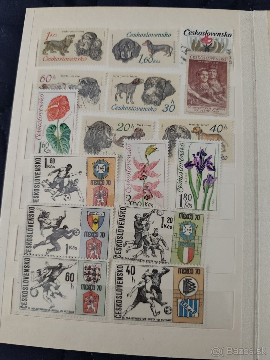 Predaj albumu pre zaciatocnika - 8