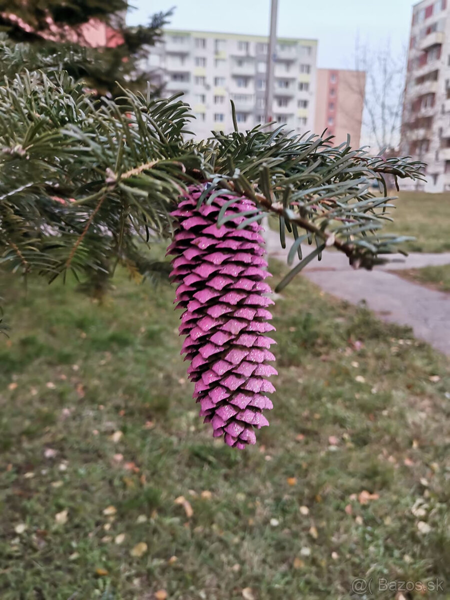 šiškové ozdoby Vianoce - 8