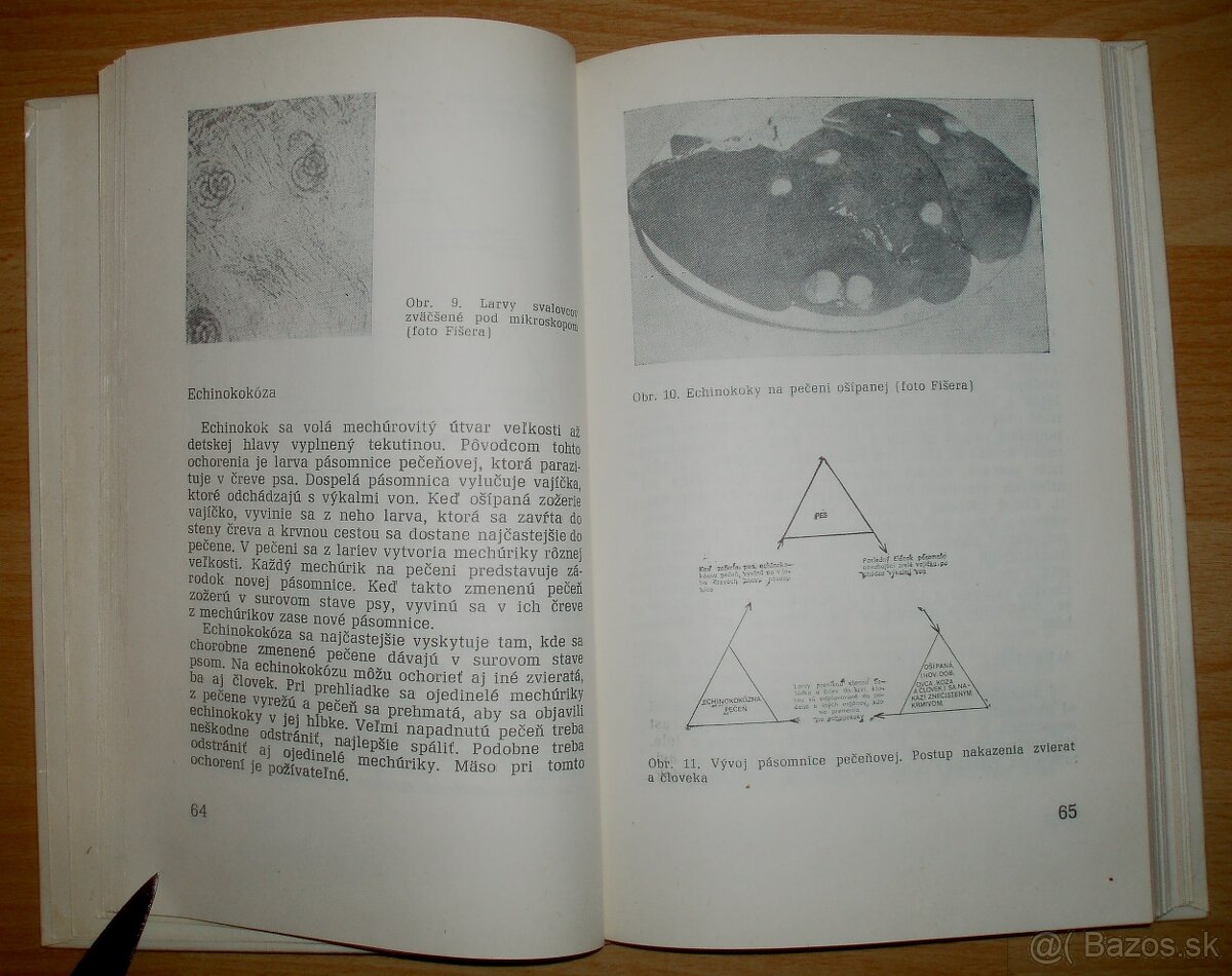 Domáca zakáľačka - 8