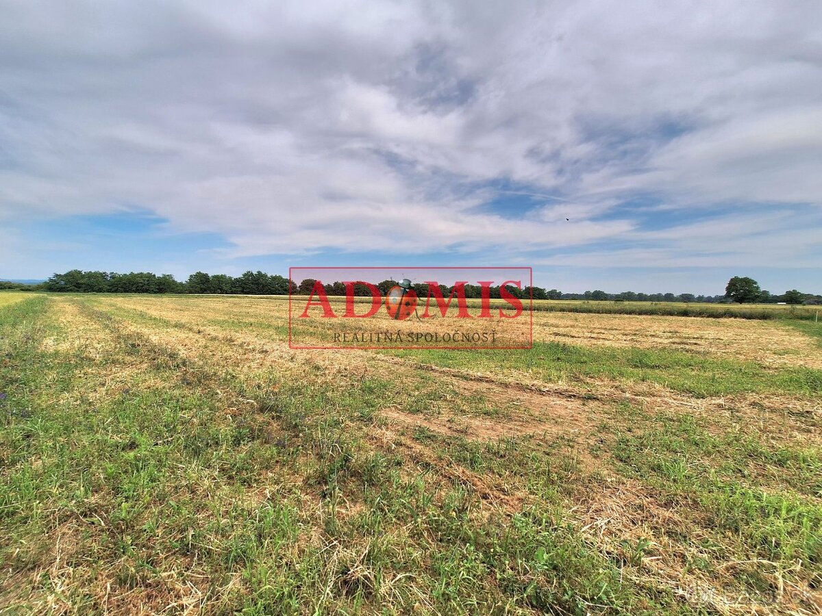 ADOMIS - predáme stavebný pozemok 4158m2 na RD, obec Božčice - 8