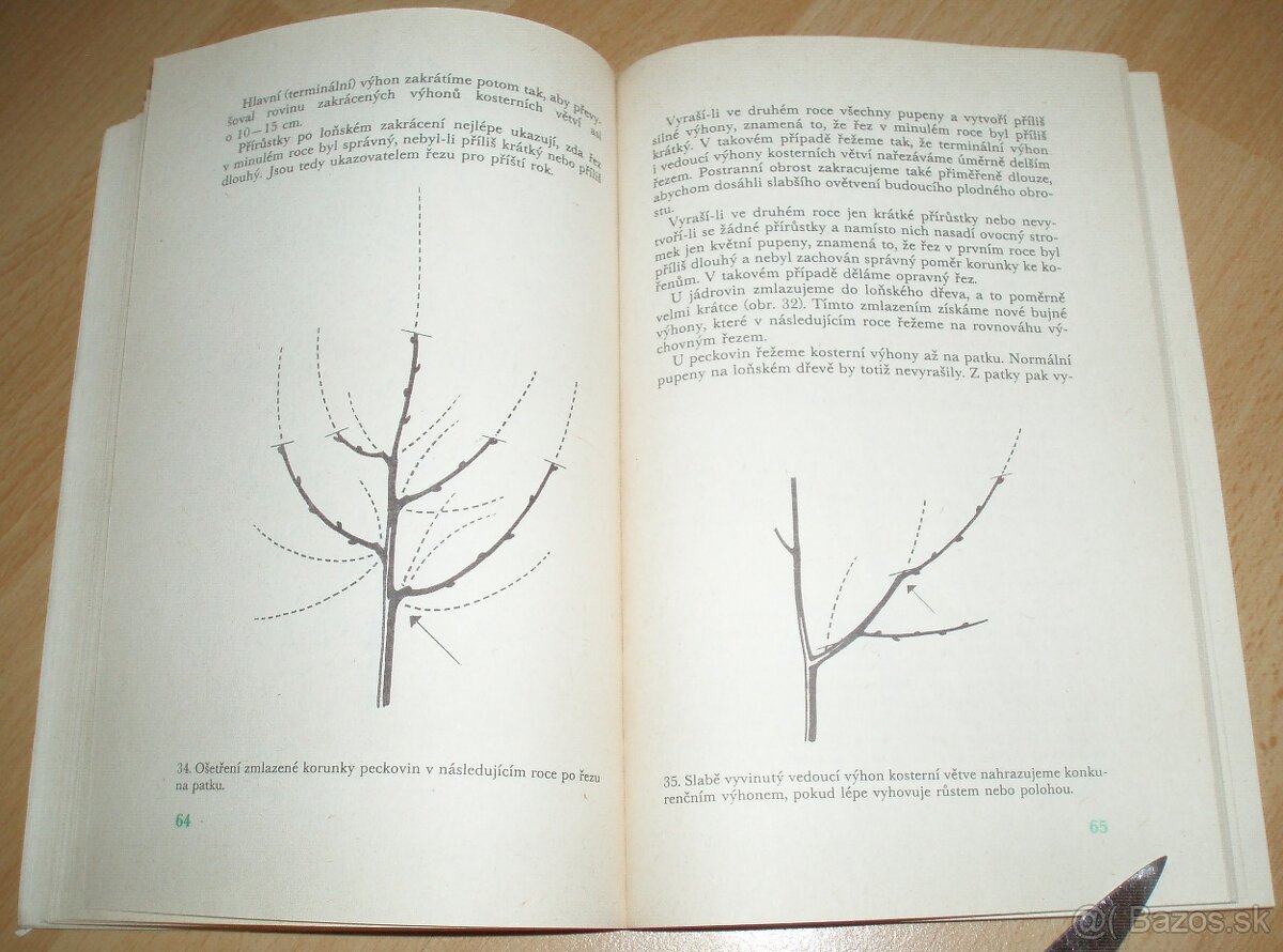Řez ovoných dřevin - 8