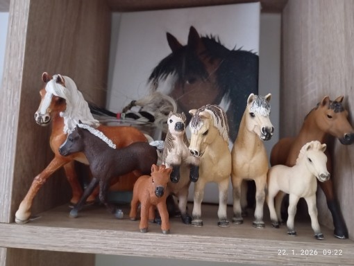 Schleich kone - 8