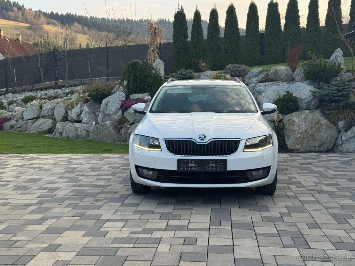 Octavia 4x4 110kw - 8