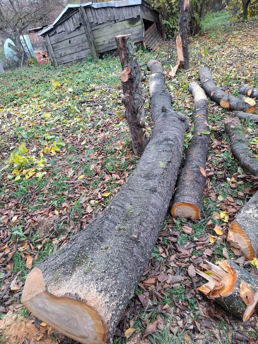 Čerešňove drevo v surovom stave guĺatina - 8