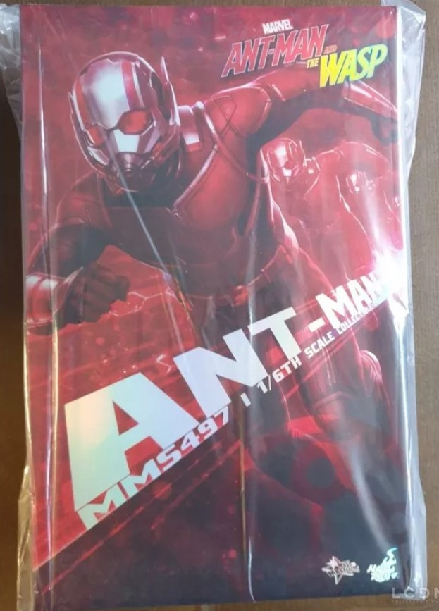 Ant Man a Wasp Hot toys MMS497+MMS498 - 8