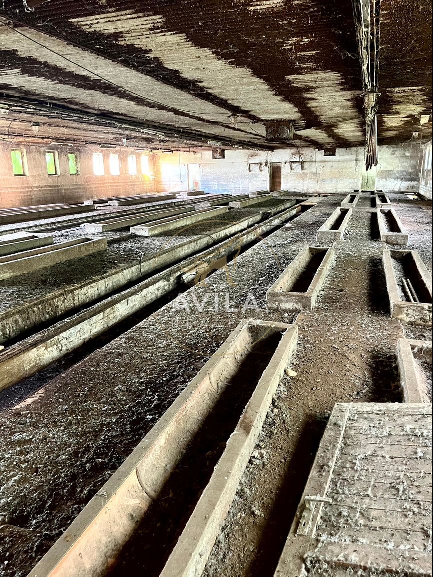 Predaj | Hospodárske budovy v areáli družstva | Hrádok - 8