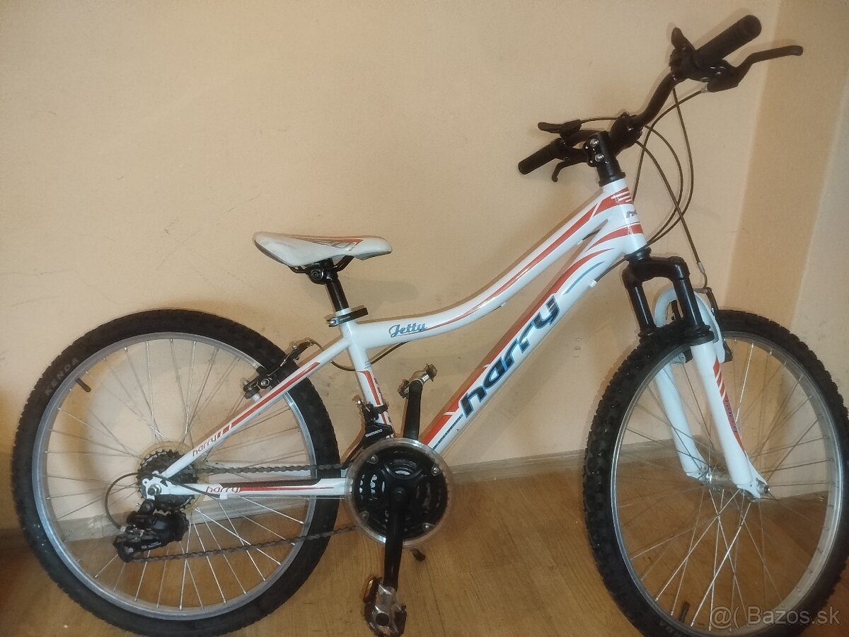 Bicykel 24 Harry jetty - 8