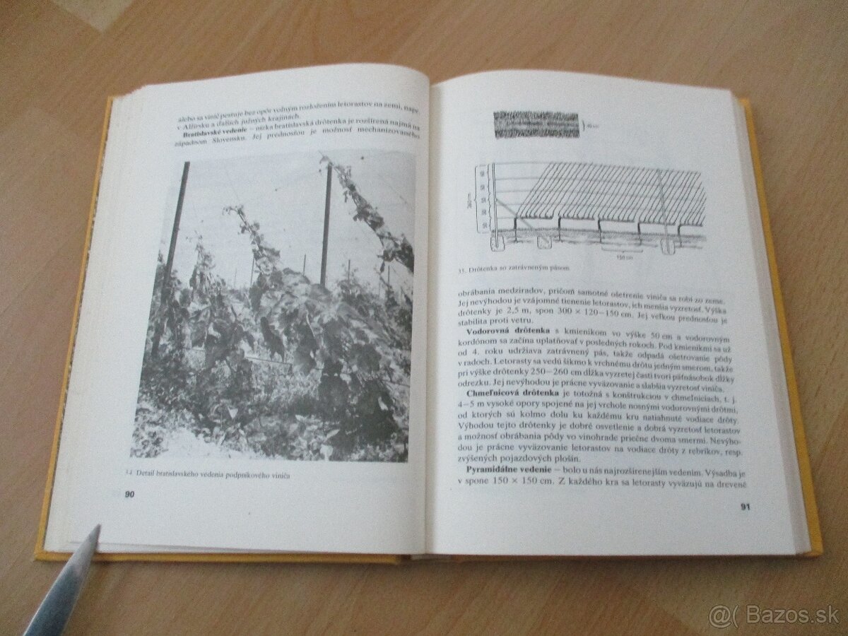 Rez a vedenie viniča - 8