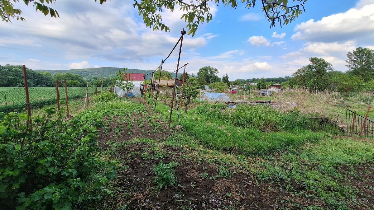 ‼️AKCIA‼️Predám zahradu s chatou v Štúrove na sutoku Dunaja - 8