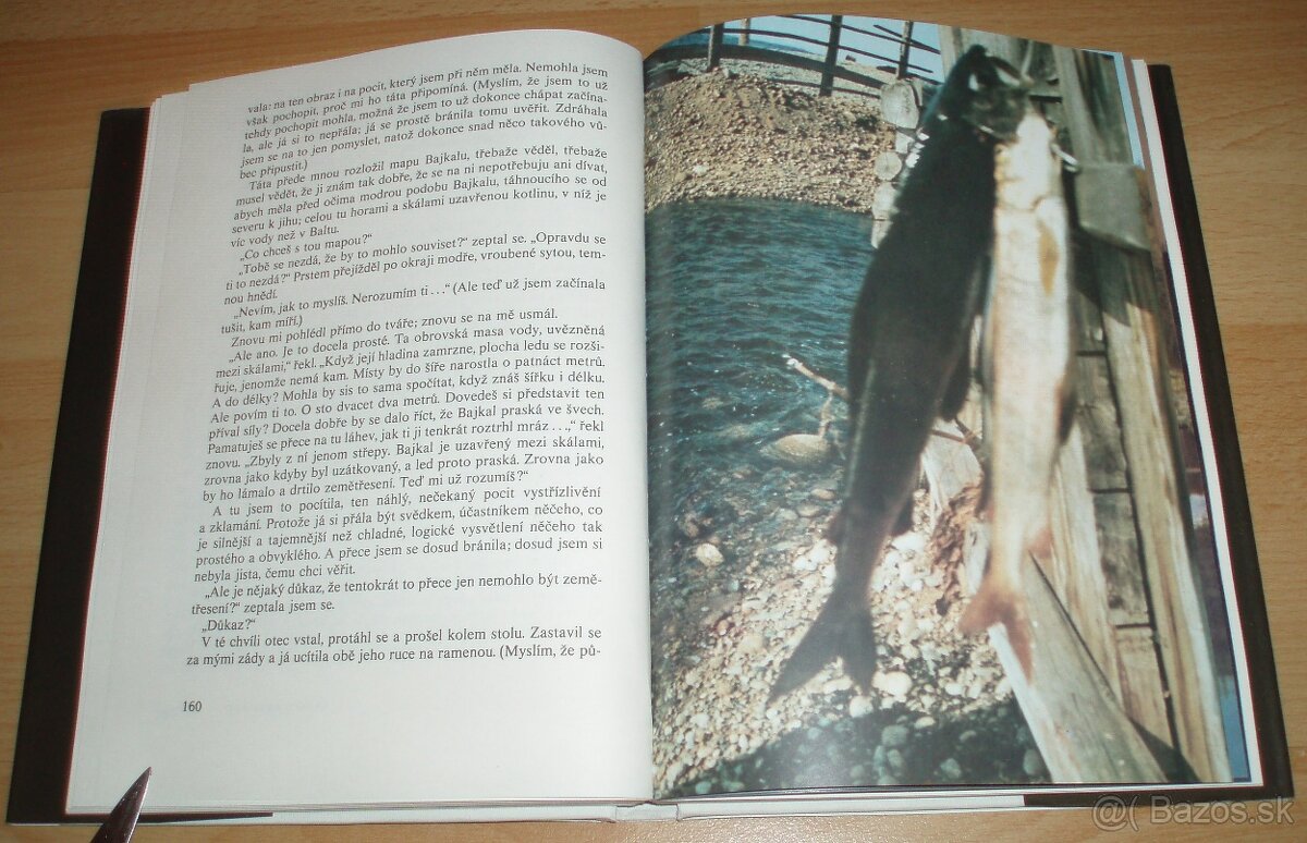 Černý sobol, hnědý medvěd - 8