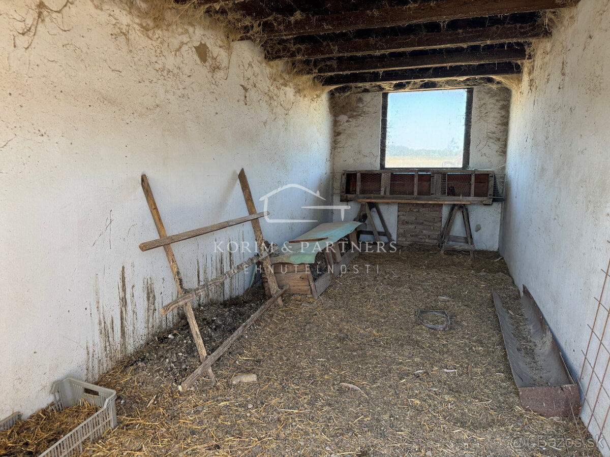 NOVINKA - Rodinná farma na vyše 2,5 hektároch pri Komárne - 8