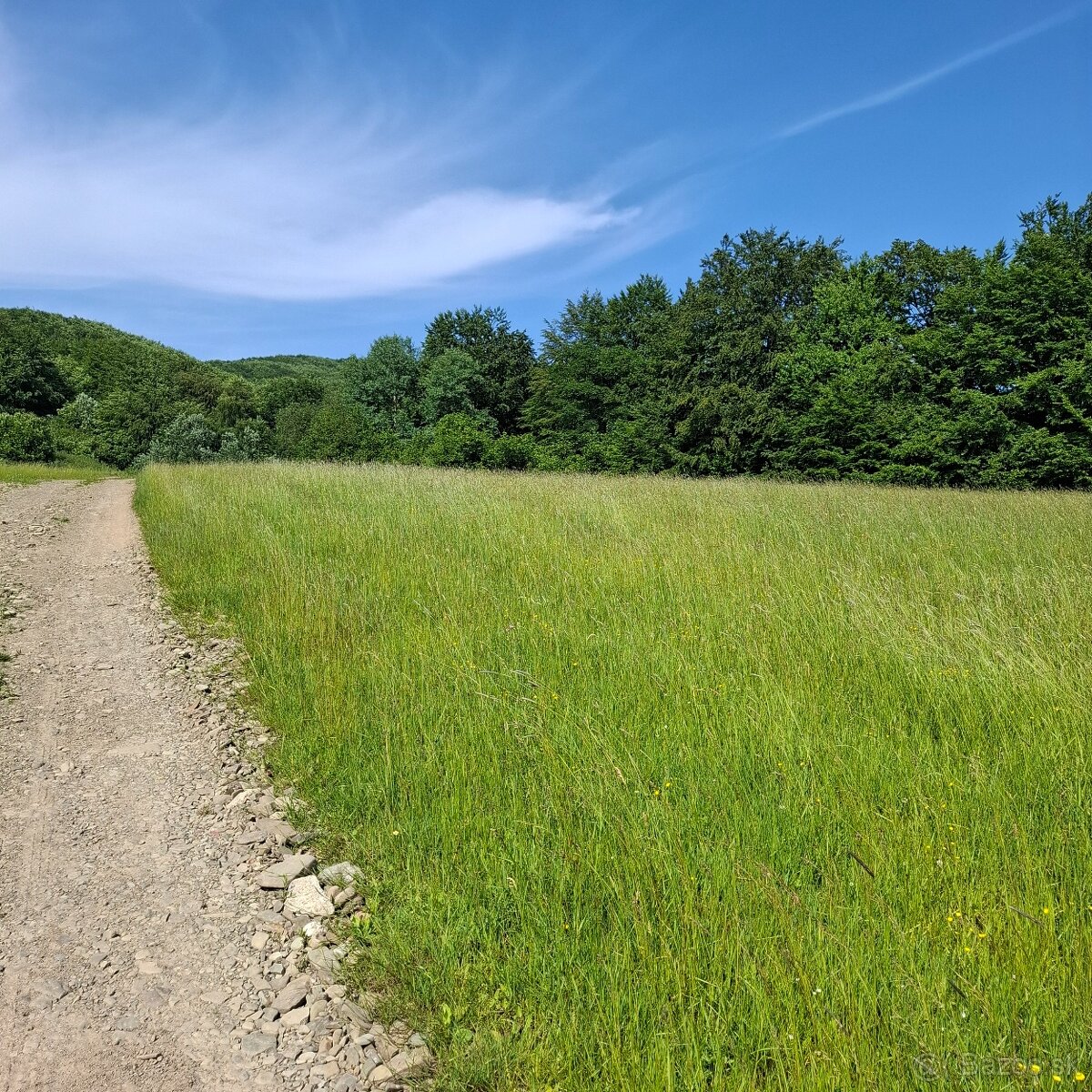 POZEMOK NA VÝSTAVBU REKREAČNEJ CHATY-REGETOVKA - 8