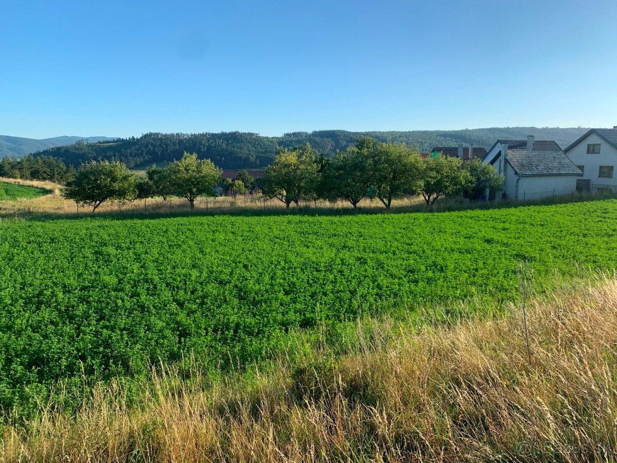 NA PREDAJ stavebný pozemok Hôrka - 8
