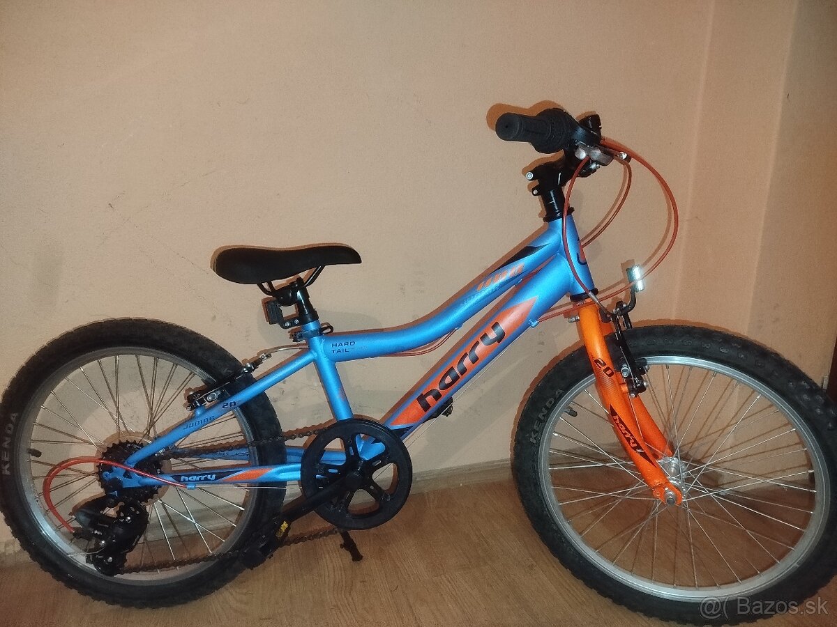 Detský bicykel Harry 20 - 8