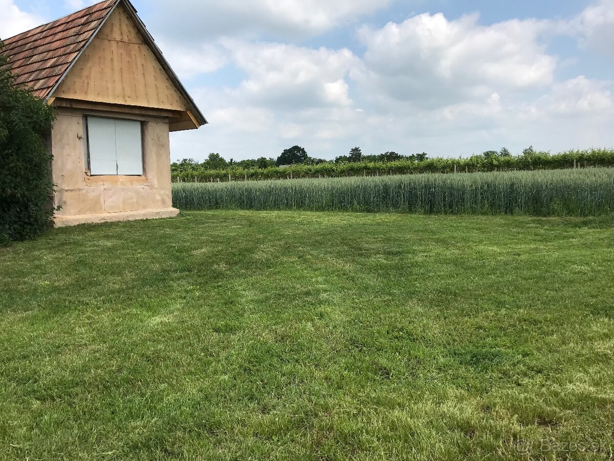 Predám pozemok vo vinicnej časti - 8