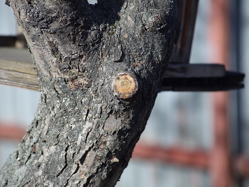 Zoom-Nikkor 80-200mm / F4,5 / Nikon F - 8