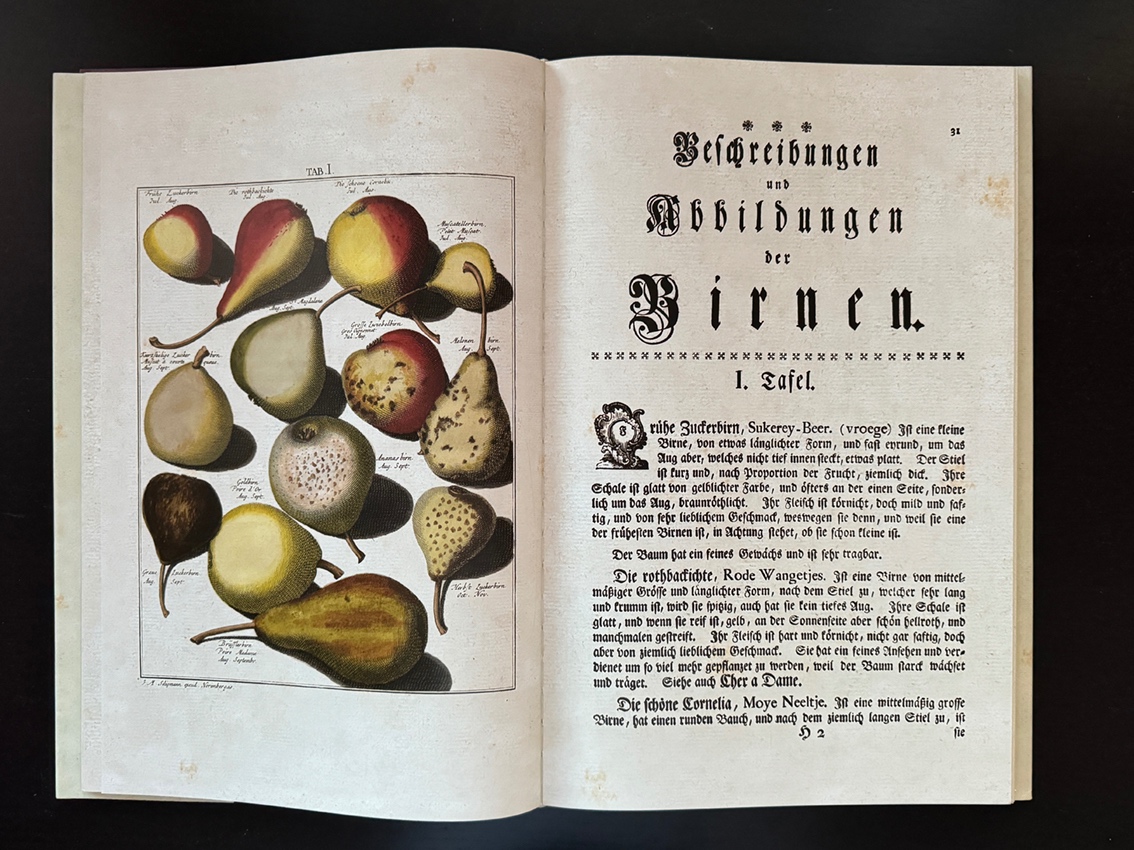 Knihy o histórii - 8