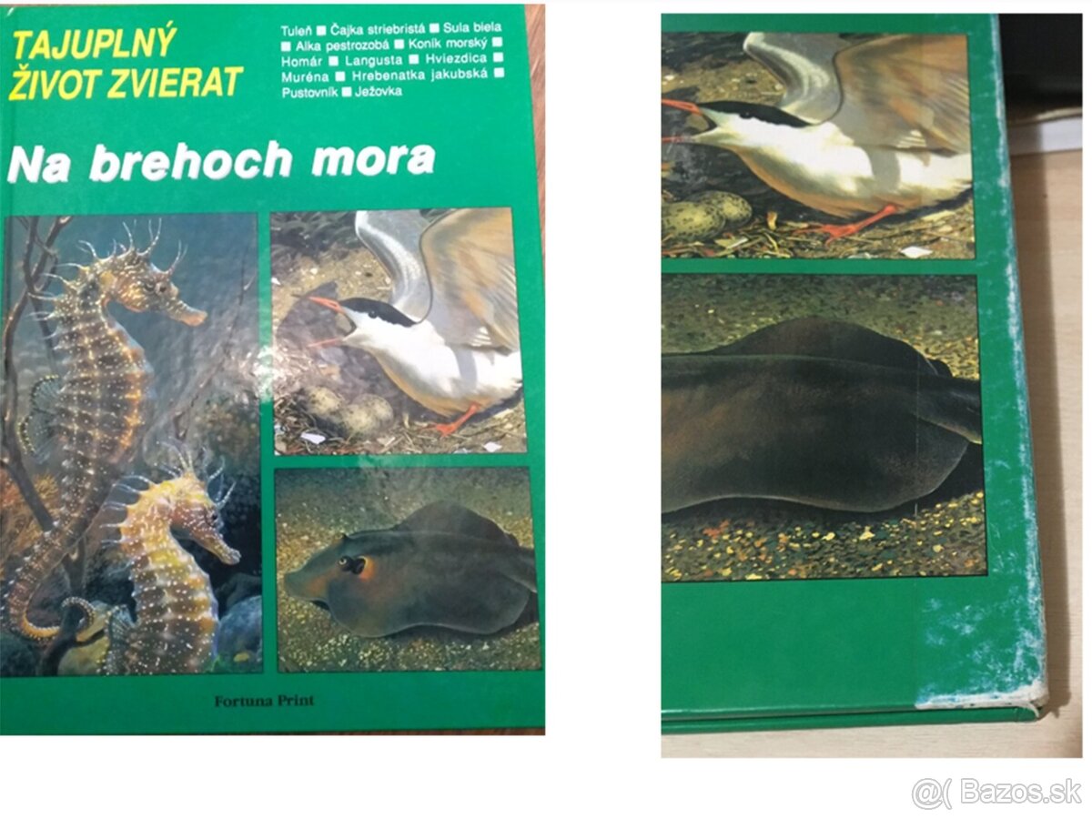 encyklopedie, hoby knizky - 8