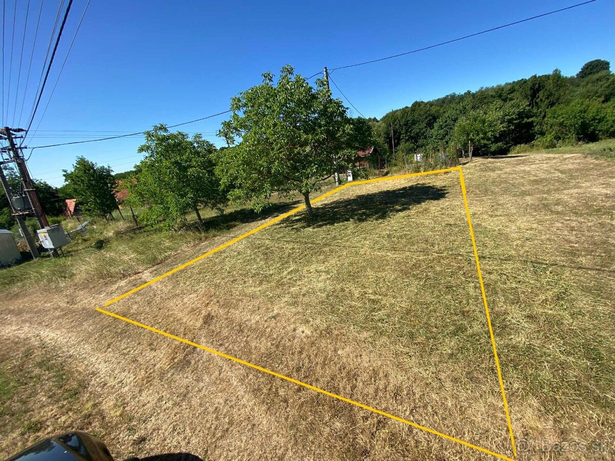 Záhrada, pivnica - 8