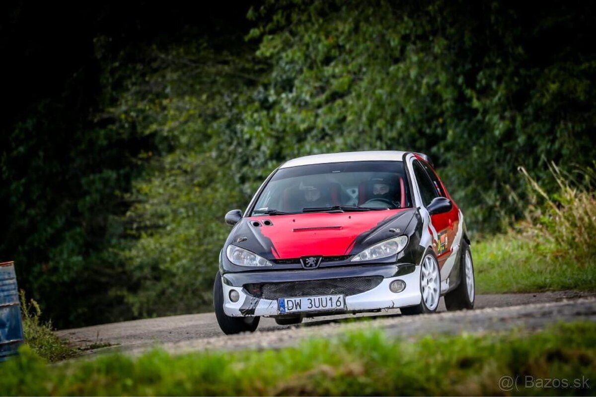 Peugeot 206 RC Rally 2.0 - 8