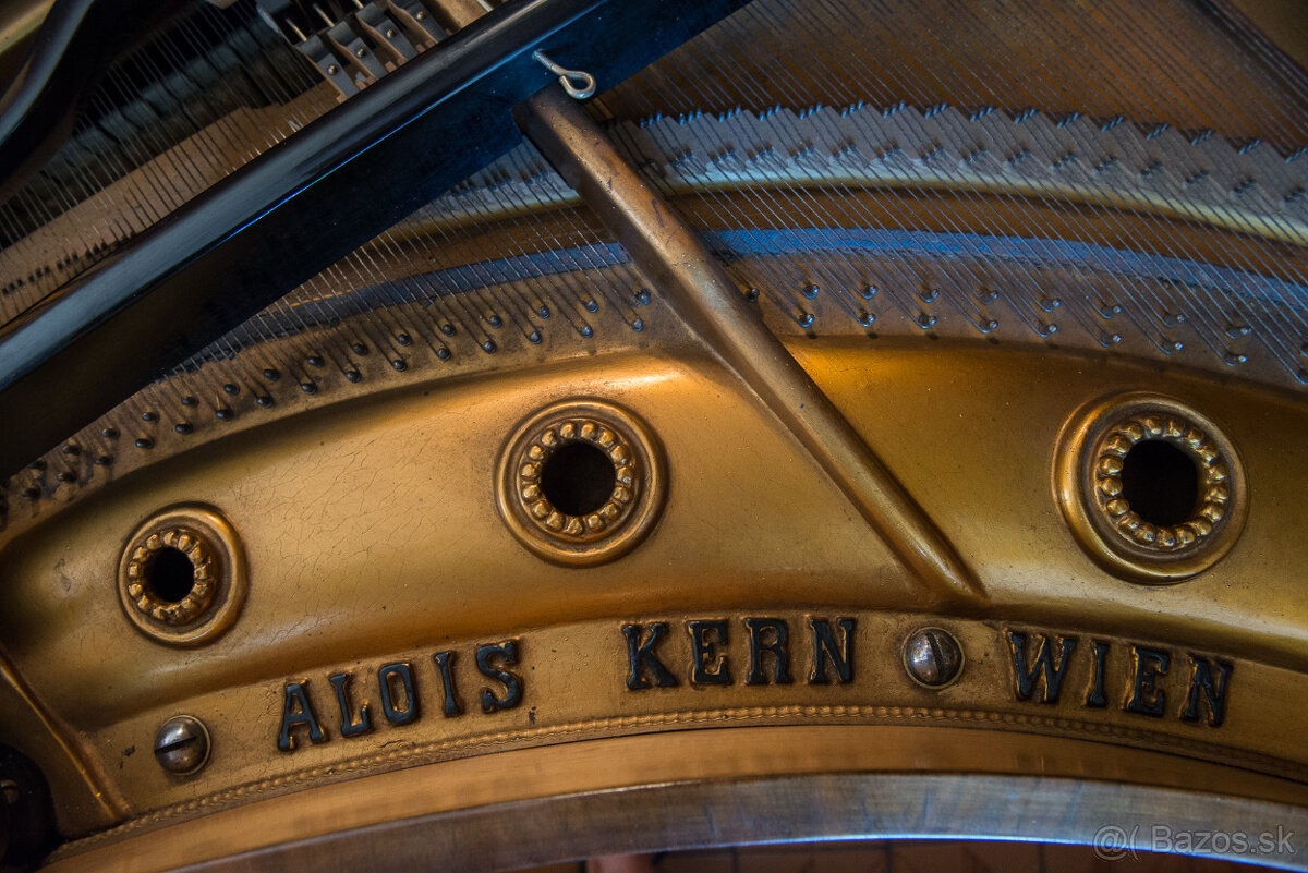 ALOIS KERN PIANO FORTE - 8