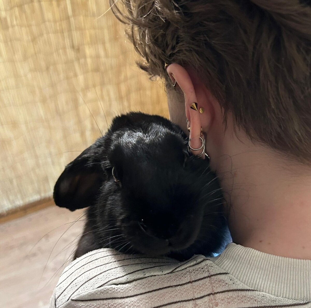 Ročný zajačik - 8