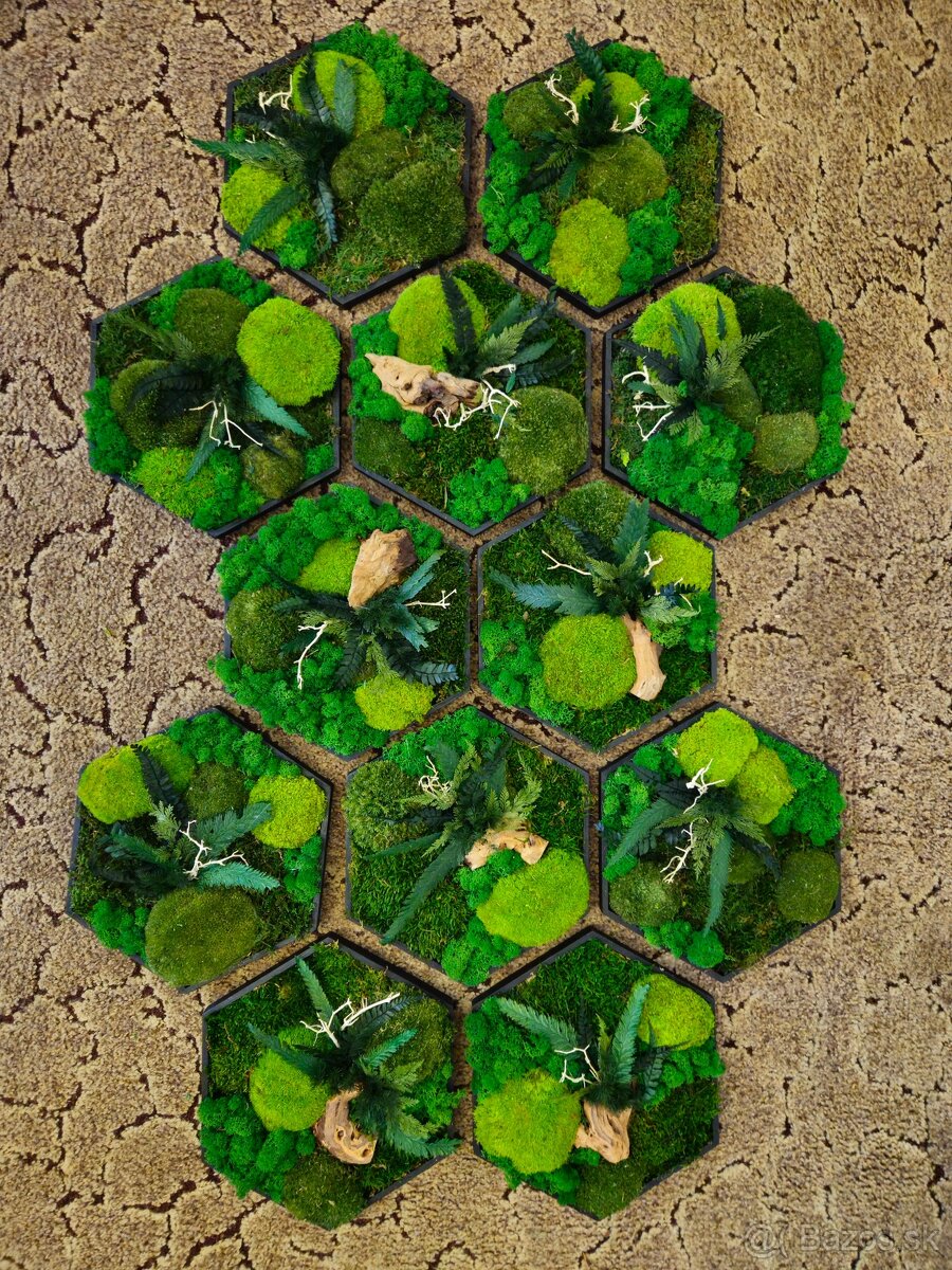 Machový obraz hexagón na mieru - 8